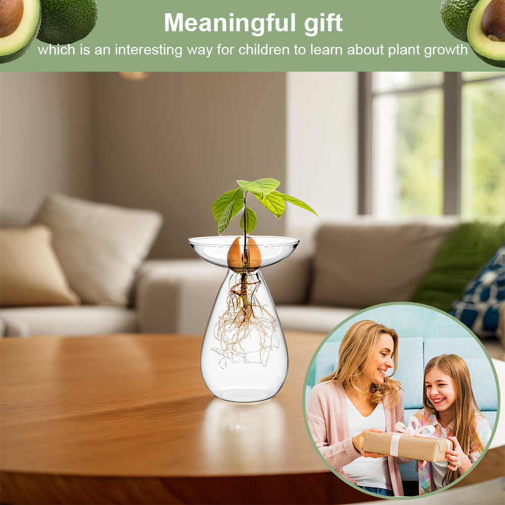 Avocado Seed Starter Vase Tran - Propagation Station Vase recension och pris