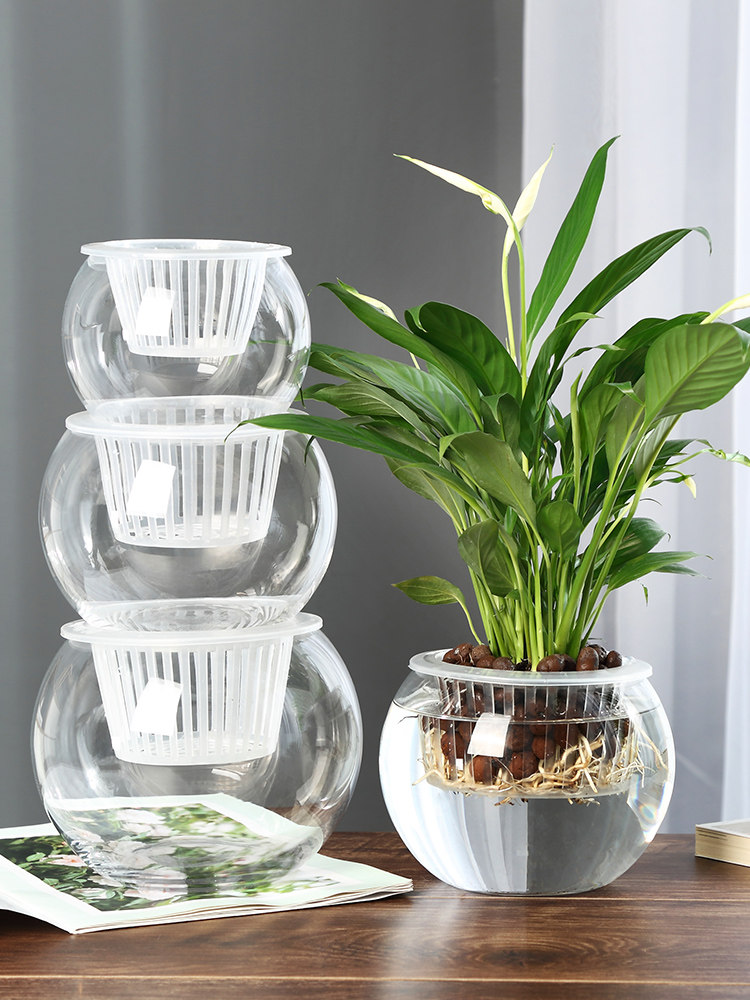 Hydroponic Glass Vase Glass Gr - Propagation Station Vase recension och pris